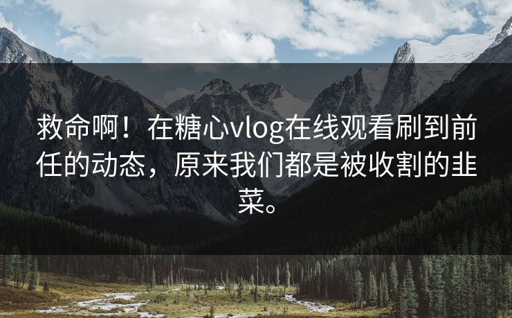 救命啊！在糖心vlog在线观看刷到前任的动态，原来我们都是被收割的韭菜。