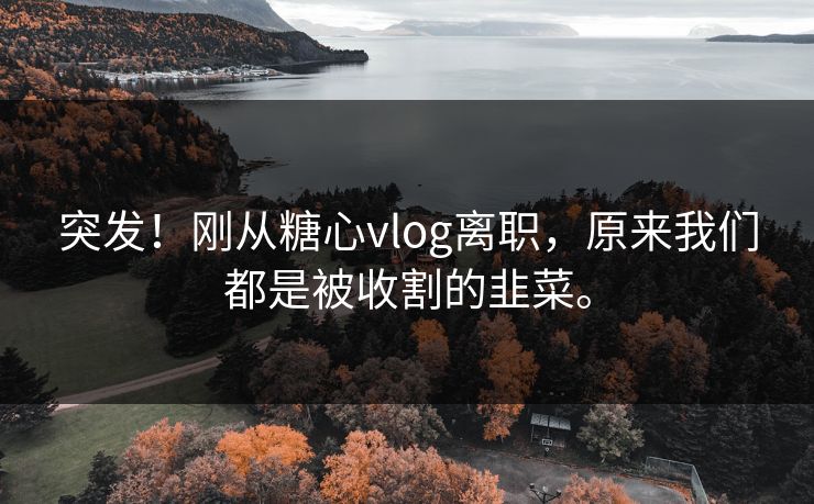 突发！刚从糖心vlog离职，原来我们都是被收割的韭菜。