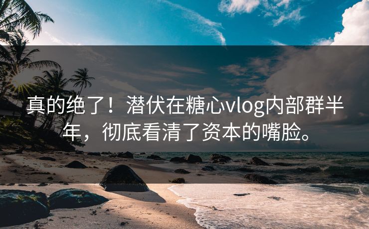 真的绝了！潜伏在糖心vlog内部群半年，彻底看清了资本的嘴脸。