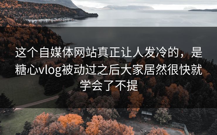 这个自媒体网站真正让人发冷的，是糖心vlog被动过之后大家居然很快就学会了不提