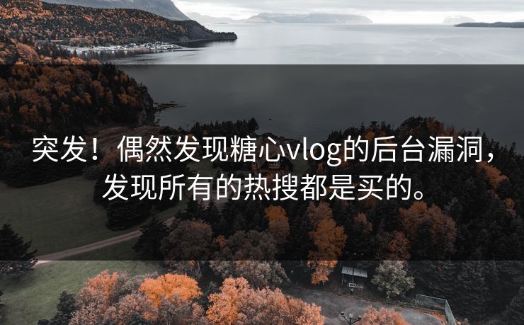 突发！偶然发现糖心vlog的后台漏洞，发现所有的热搜都是买的。