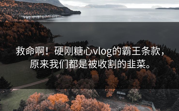救命啊！硬刚糖心vlog的霸王条款，原来我们都是被收割的韭菜。